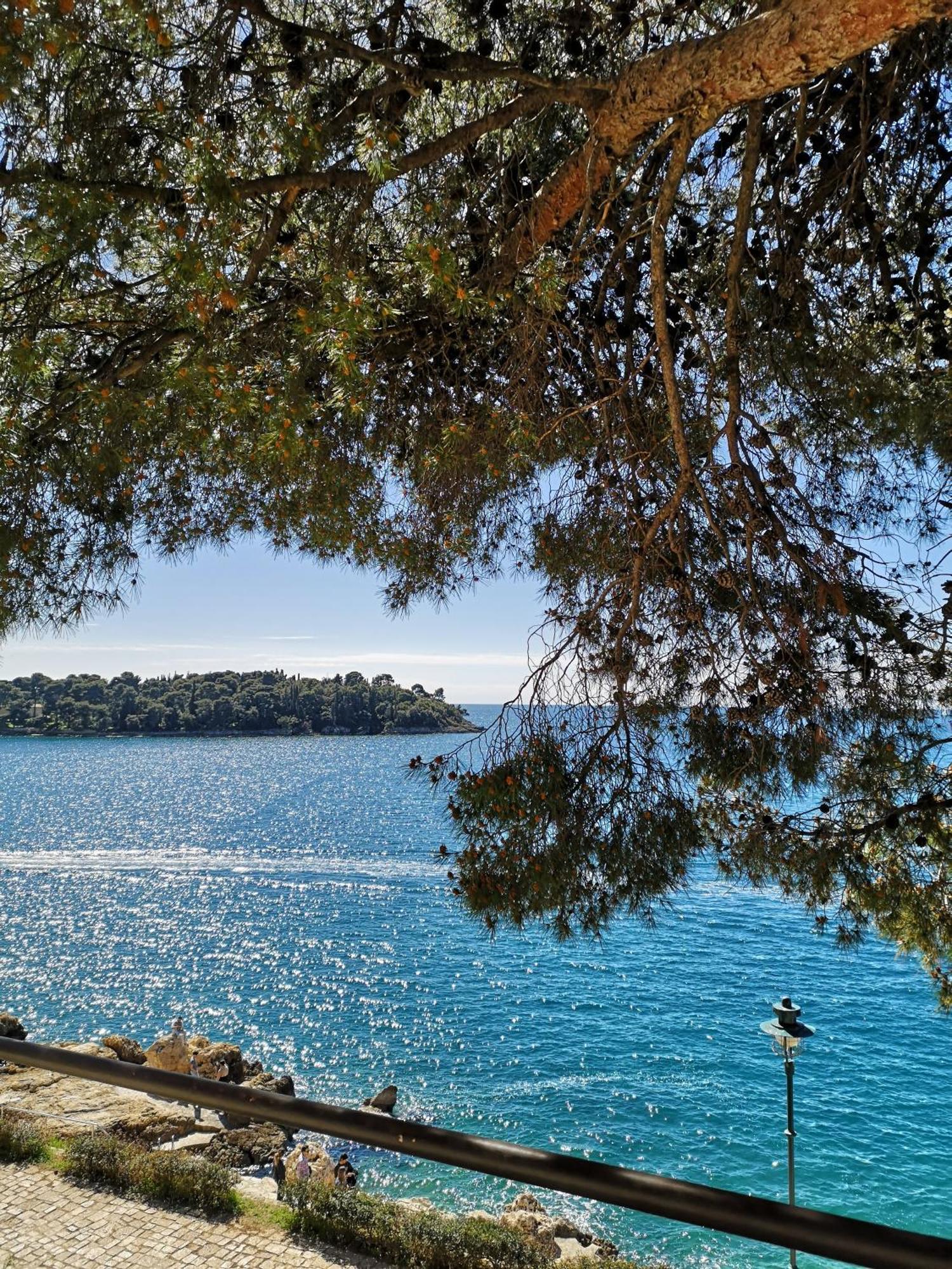 Apartment Michaela 4-Sterne & Parking Ρόβινι Εξωτερικό φωτογραφία